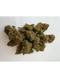 Orange Tonic 3,07% CBD - Glass House