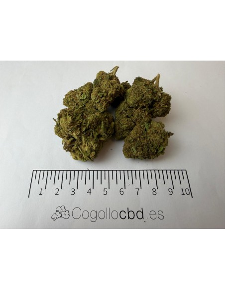 Alien 15,63% CBD - Glass House