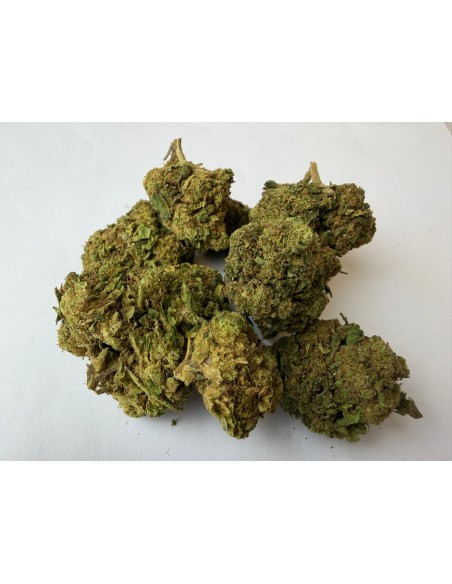 Alien 15,63% CBD - Glass House