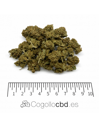 Mini Flores Lemon Skunk 3.80% CBD - Invernadero