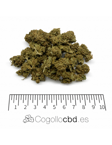 Mini Flores Lemon Skunk 3.80% CBD - Invernadero