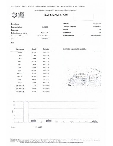 Legendary White 11,23% CBD - Glass House