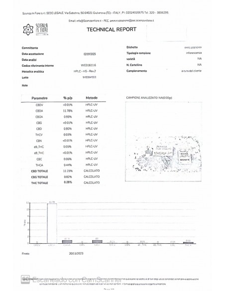 Legendary White 11,23% CBD - Glass House