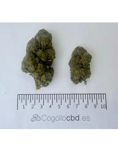 Legendary White 11,23% CBD - Glass House