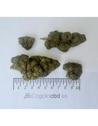 Legendary White 11,23% CBD - Glass House