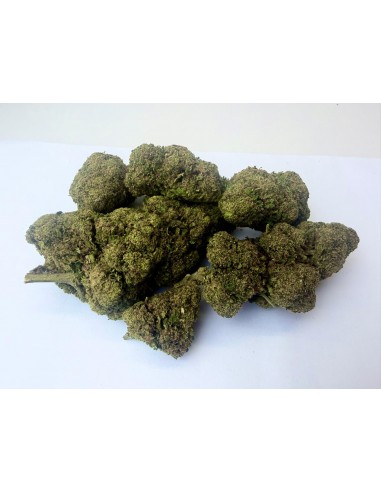 Legendary White 11,23% CBD - Glass House