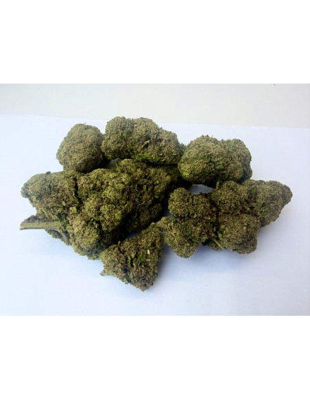 Legendary White 11,23% CBD - Glass House