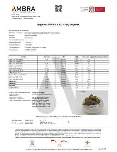 MANGO O.G 12.92% CBD - Glass House