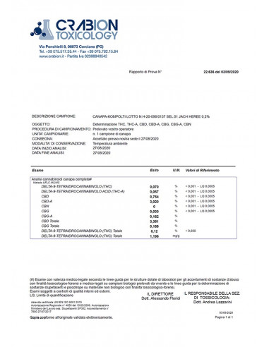 Jack Herer - cogollo CBD
