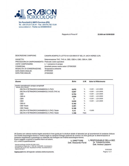 Jack Herer - cogollo CBD