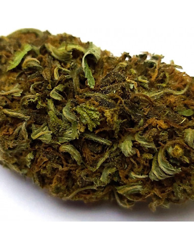 Sour x ACDC - cogollo CBD