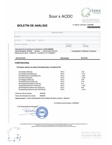 Sour x ACDC - cogollo CBD