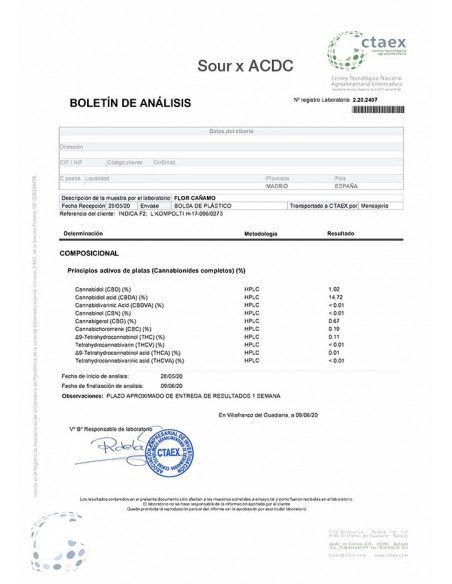 Sour x ACDC - cogollo CBD
