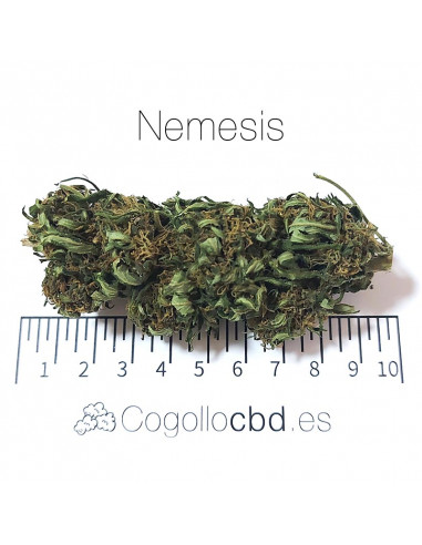Nemesis - cogollo CBD