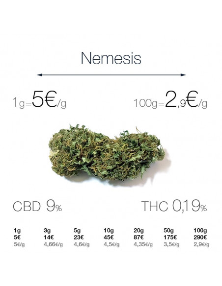 Nemesis - cogollo CBD