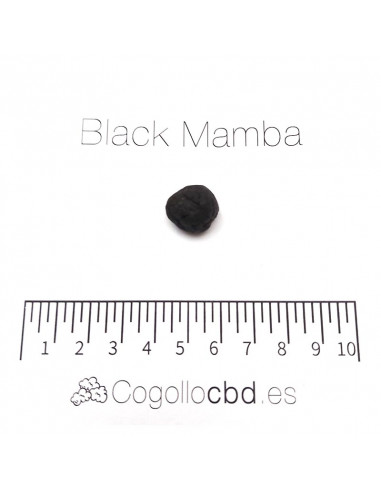 Black Mamba - hachís CBD