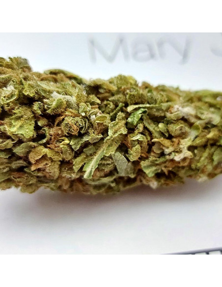 MARY JANE - Exterior