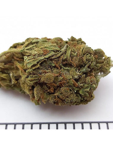 MARY JANE - Exterior