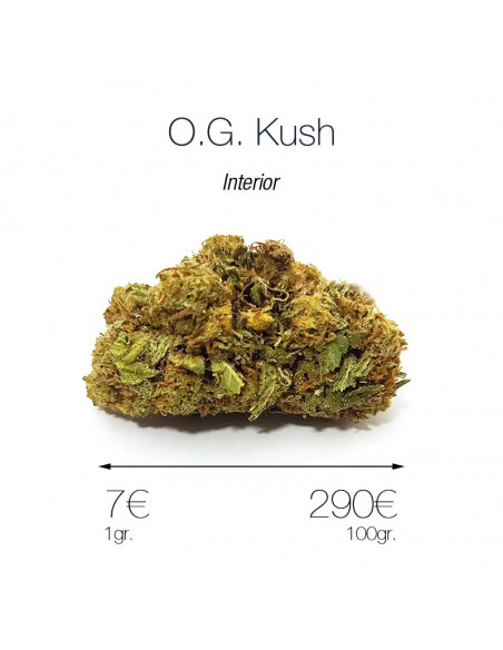 O.G. KUSH 13.5% CBD - Interior