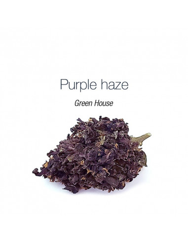 Purple haze - cogollo CBD