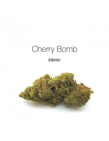 Cherry Bomb - interior