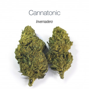 CANNATONIC 5.5% CBD - Invernadero