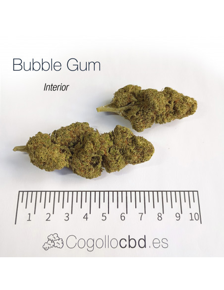 BUBBLE GUM 17.54% CBD - Interior
