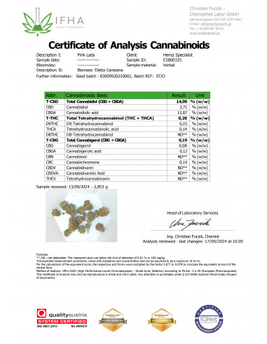 PINK LADY - Exterior