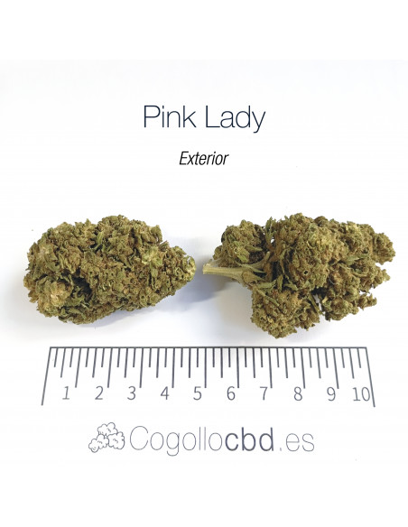 PINK LADY - Exterior