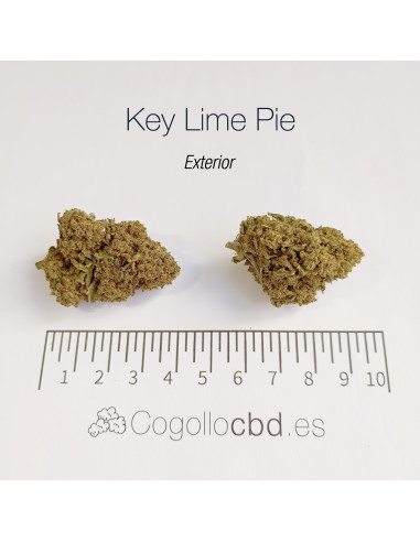 KEY LIME PIE - Exterior