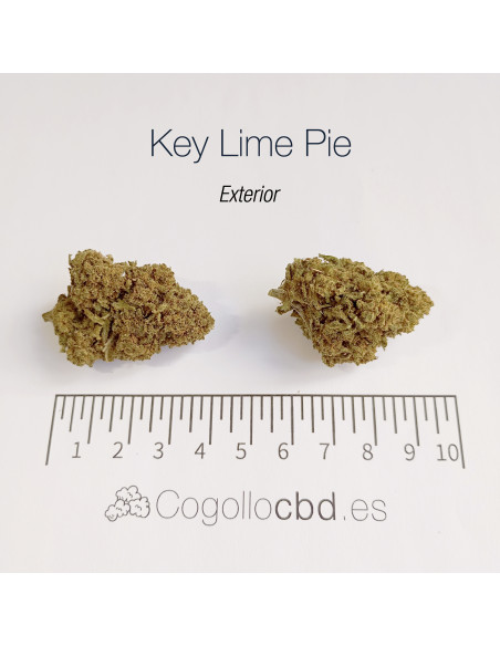 KEY LIME PIE - Exterior