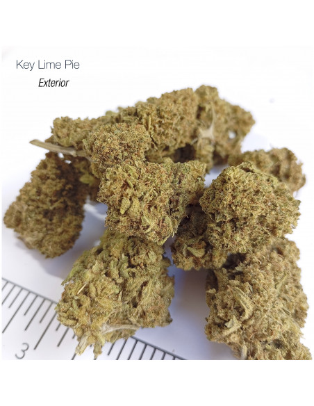 KEY LIME PIE - Exterior