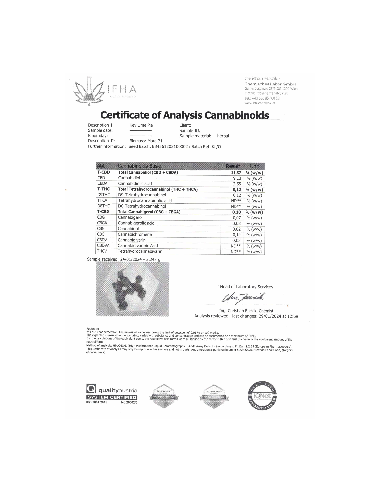 KEY LIME PIE - Exterior