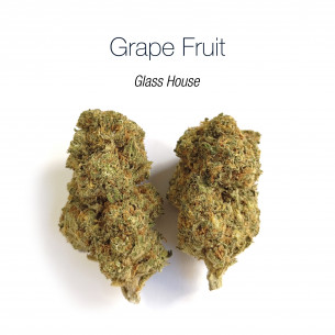 GRAPE FRUIT 15.4% CBD - Glass House