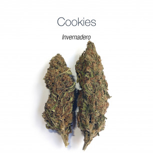 GIRL SCOUT COOKIES 8.9% CBD - Invernadero