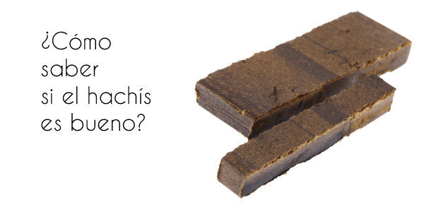 ¿El hachís que compras es de buena calidad? Descúbrelo ahora