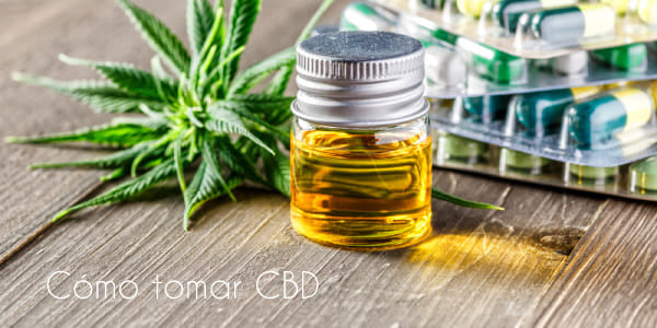 Tomar CBD - Situación legal, formas de usarlo y qué te ofrece