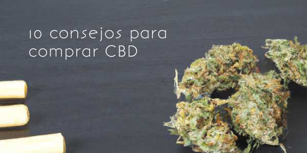 Los 10 consejos para comprar CBD