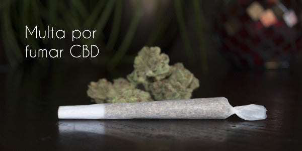 La multa por fumar CBD -  ¿Se puede fumar CBD por la calle? Te contamos qué dice la ley