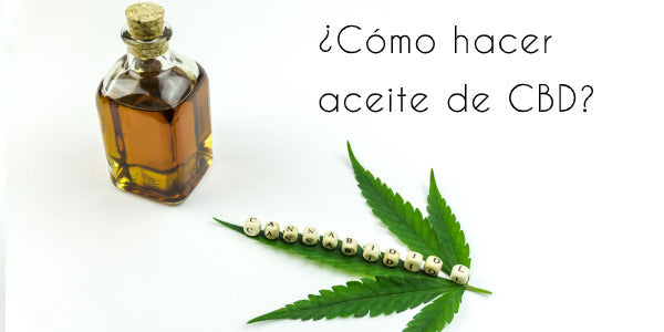 Cómo hacer aceite de CBD en casa, Tutorial con ingredientes y materiales paso a paso.