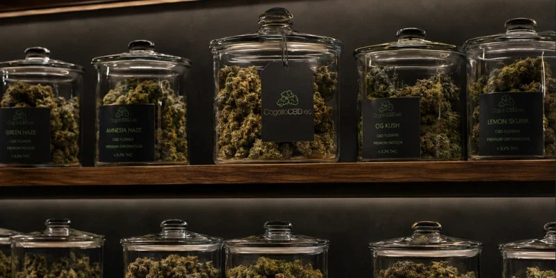¿Qué son las franquicias de CBD en España?