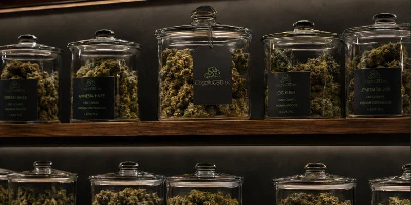 ¿Qué son las franquicias de CBD en España?