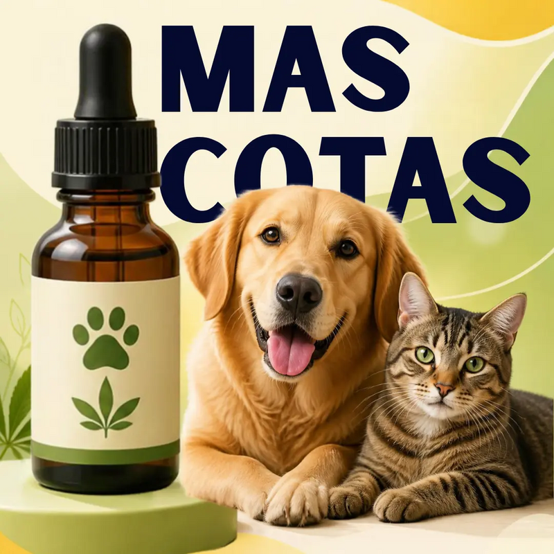 Mascotas