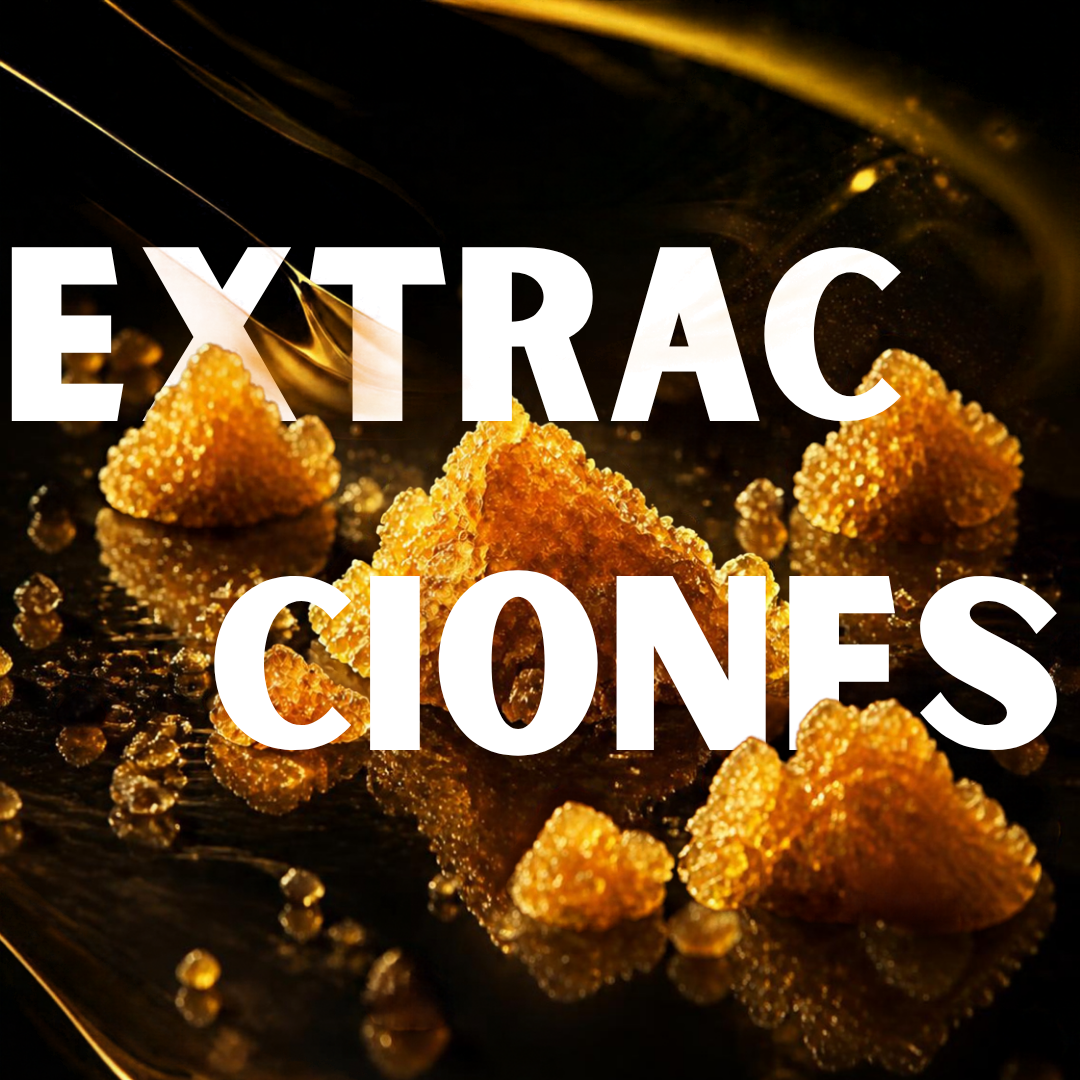 Extracciones