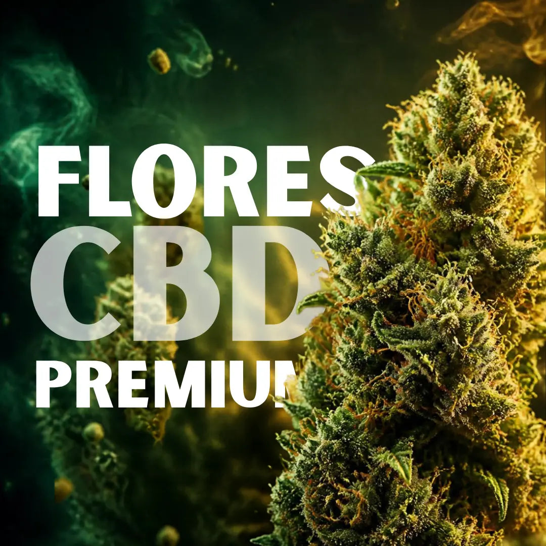 Flores de CBD