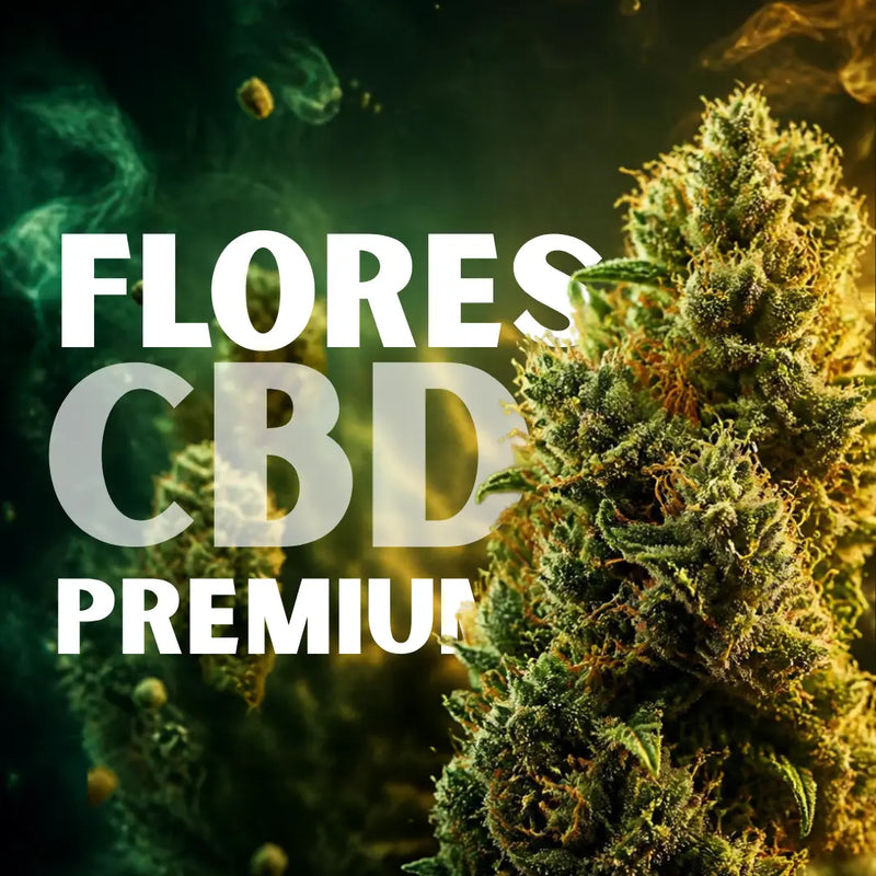 Flores de CBD
