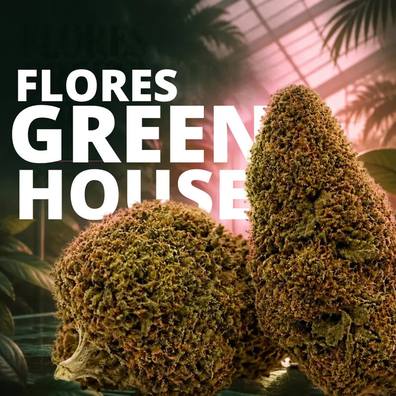 Flores CBD Green House