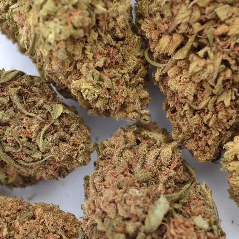 Flores CBD Green House