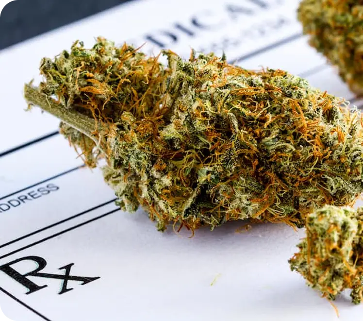 Flores CBD Outdoor
