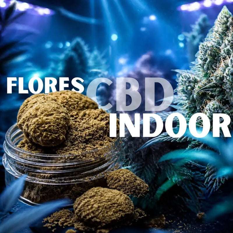 Flores CBD Indoor